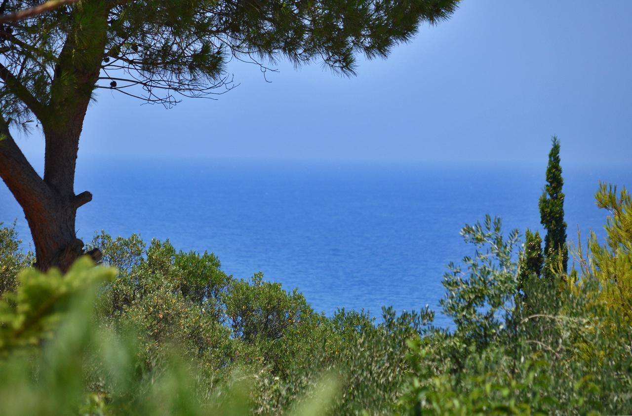 Sole E Mare Apartments Tsilivi  Exterior photo